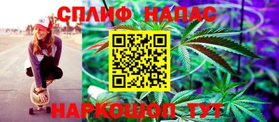 таблы Новозыбков
