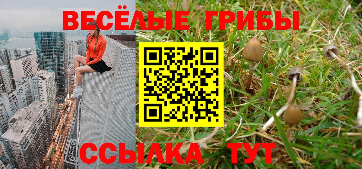 Псилоцибиновые грибы мицелий Хасавюрт