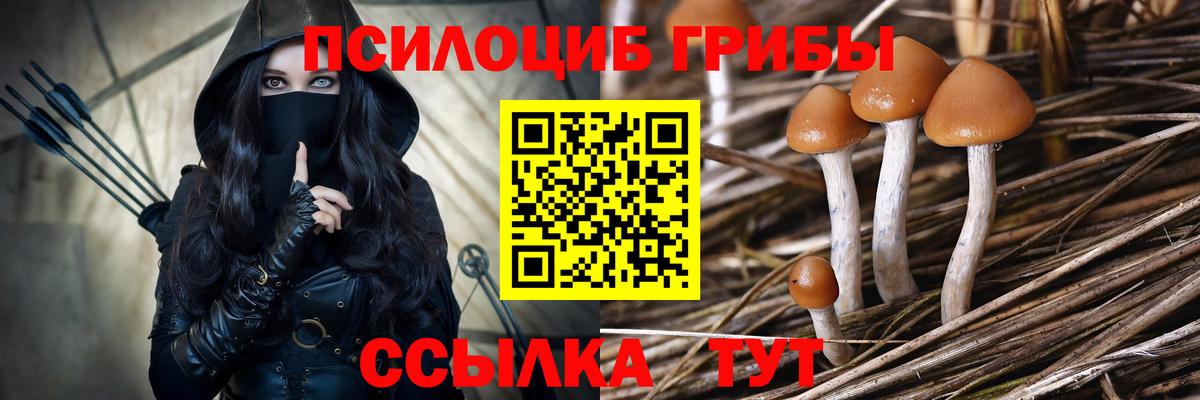 Хасавюрт  Галлюциногенные грибы Psilocybine cubensis  Псилоцибиновые грибы GOLDEN TEACHER  Вход с VPN 